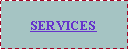 Text Box: SERVICES