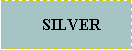 Text Box:    SILVER 